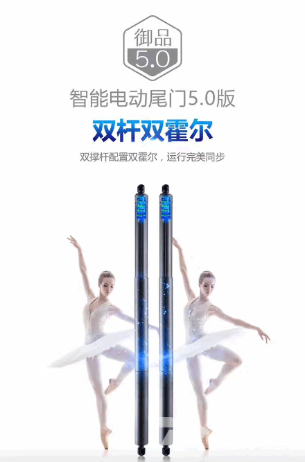 双杠双霍尔